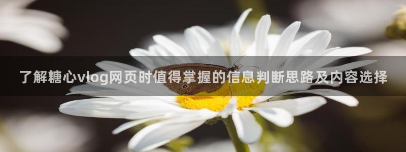 糖心网址：了解糖心vlog网页时值得掌握的信息判断思路及内容选择