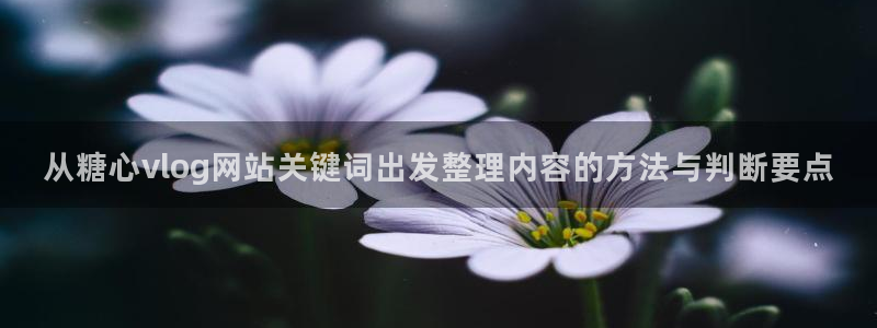 糖心视频免费下载