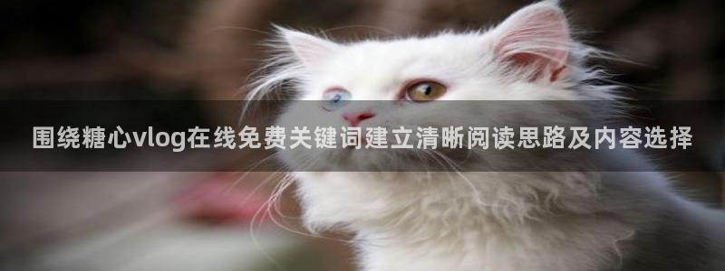 糖心.vlog：围绕糖心vlog在线免费关键词建立清晰阅读思路及内容选择