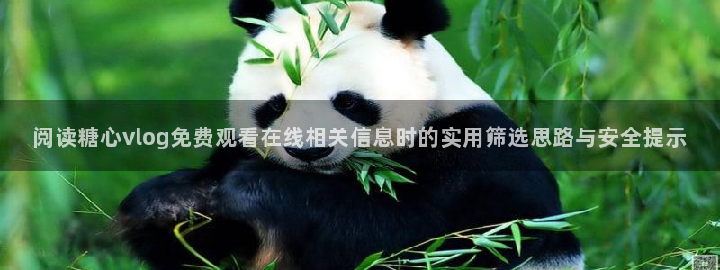 糖心vlog官网入口地址：阅读糖心vlog免费观看在线相关信息时的实用筛选思路与安全提示