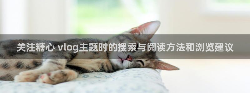 糖心vlog免费版在线观看：关注糖心 vlog主题时的搜索与阅读方法和浏览建议