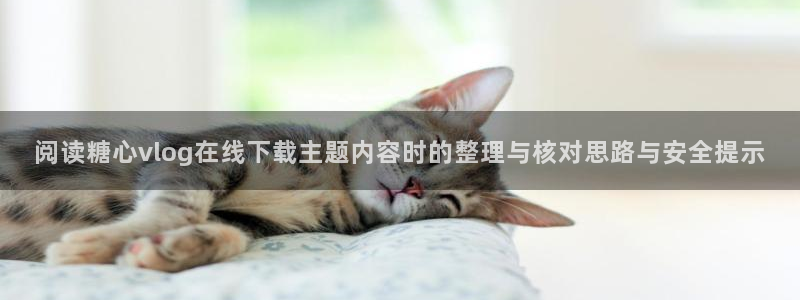 糖心传媒秘密入口：阅读糖心vlog在线下载主题内容时的整理与核对思路与安全提示