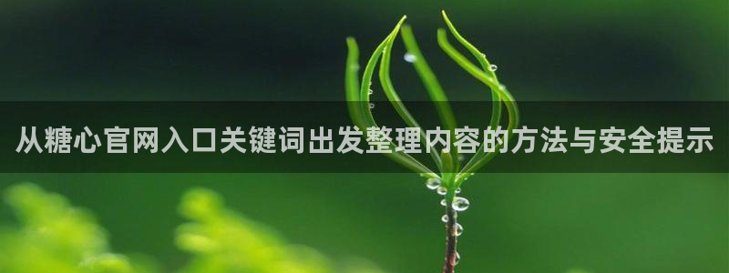 糖心官方官网网址：从糖心官网入口关键词出发整理内容的方法与安全提示